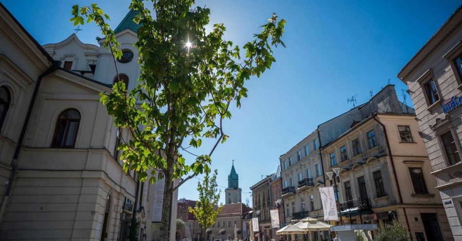 zdjęcie: Nowe drzewa na deptaku / fot. nadesłane