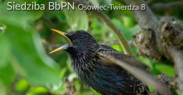 Biebrzański Park Narodowy zaprasza 8 lutego 2025 r. (sobota) na 86. Wszechnicę Biebrzańską pt. Dźwięki natury