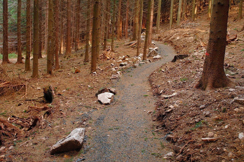 zdjęcie: Wschowa: Podpisano umowę na ścieżkę rowerową do Starych Drzewiec / Ścieżka rowerowa w Czerniawie Zdroju. Zdjęcie poglądowe – trasa we Wschowie będzie przebiegać wzdłuż drogi powiatowej nr 1009F. Fot. Slawek Ilski / Wikimedia Commons, CC BY 3.0