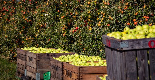 Umowa z Mercosur zagraża polskim gospodarstwom i konsumentom