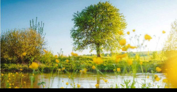 Jubileuszowy rok Operacji Czysta Rzeka – raport z działań 2023