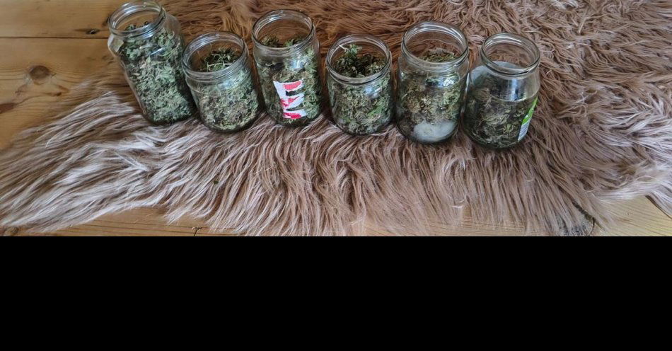 zdjęcie: Młody mężczyzna aresztowany po zabezpieczeniu ponad 250 g marihuany / fot. KPP Mońki