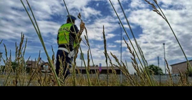 Służyli radą i pomocą, aby wyjazdy i powroty były bezpieczne