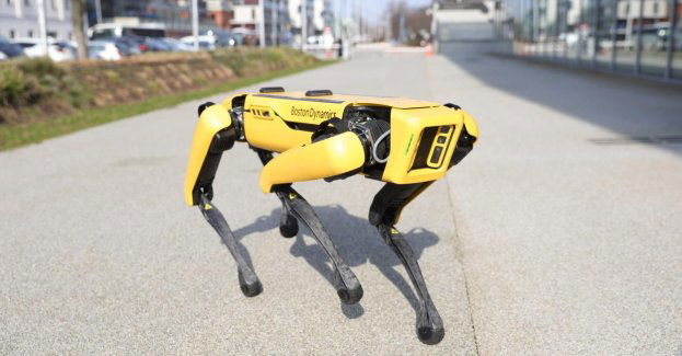 W warszawskim Centrum Nauki Kopernik można oglądać robotycznego psa