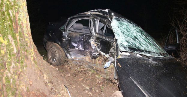 Audi uderzyło w drzewo. Nie żyje dwudziestolatek z Kruszwicy