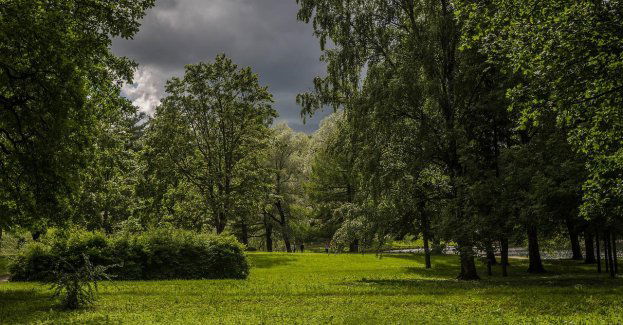 Rewitalizacja Parku Tysiąclecia prysnęła jak bańka mydlana