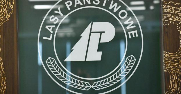 Wniosek do prokuratury ws. wsparcia przez Lasy Państwowe Fundacji Ekologiczne Forum Młodzieży