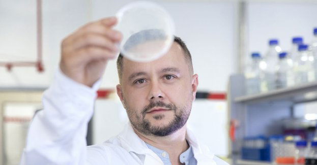 Naukowcy z Uniwersytetu Wrocławskiego w walce z nowotworami