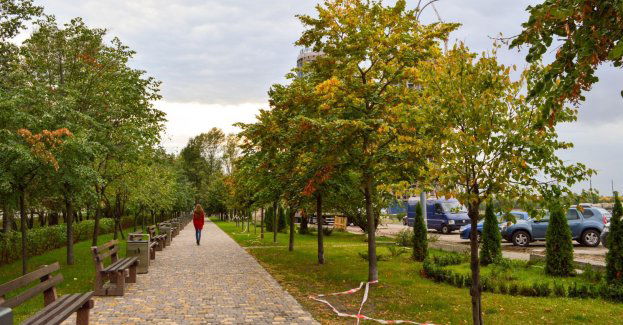 Ogrody deszczowe, zielone przystanki i pergole na lotnisku w Pyrzowicach