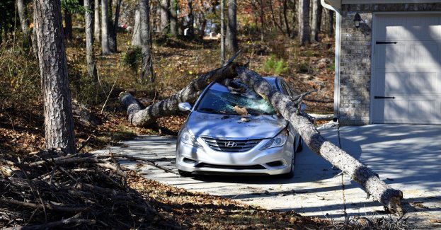 26 interwencji strażaków na Śląsku Cieszyńskim w związku z wiatrem