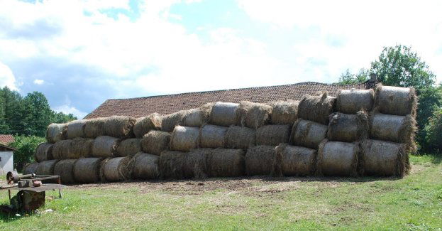 Ukradł 84 bele siana i dopuścił się oszustwa