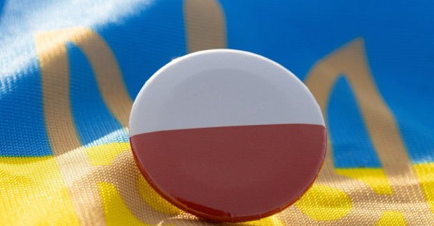 Raport dotyczący sytuacji życiowej i ekonomicznej uchodźców z Ukrainy w Polsce