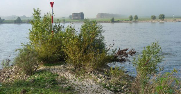 Trwa wzmacnianie wałów, w Nowej Soli Odra ma 550 cm, stan alarmowy to 450 cm