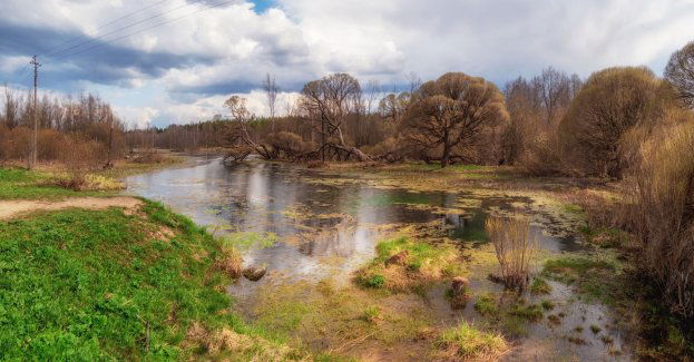 Żołnierze WOT i strażacy zabezpieczają wyrwę w wałach na Łynie pod Olsztynem