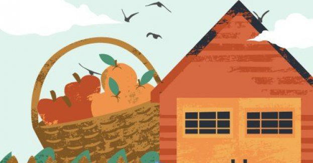 Jesień - idealny czas aby zabezpieczyć swoją działkę