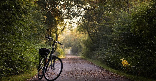 Jazda na rowerze będzie ich słono kosztować. Bo zapomnieli, że kierowania nie łączymy z alkoholem