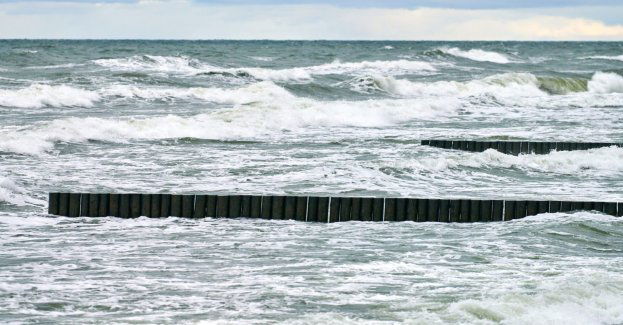 Zakończono poszukiwania 16-latka, który zniknął pod wodą w Bałtyku