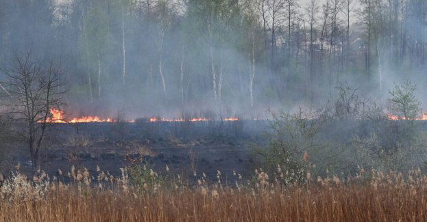 W sobotę ponad tysiąc pożarów traw w całym kraju, dwie osoby ranne