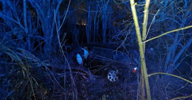 Ucieczkę przed policjantami zakończył na drzewie. Odpowie za szereg przestępstw