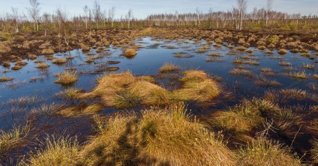 W regionie powstało10 nowych rezerwatów przyrody
