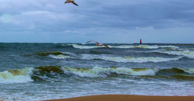 Ostatnie sztormy na Bałtyku spowodowały szkody na plażach i wałach wydmowych