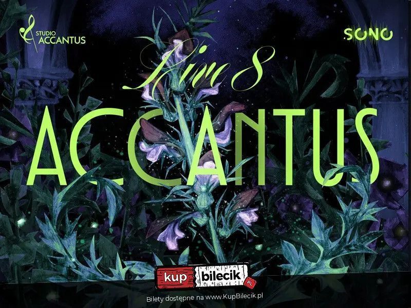 zdjęcie: Accantus Live 8 / kupbilecik24.pl / Accantus Live 8