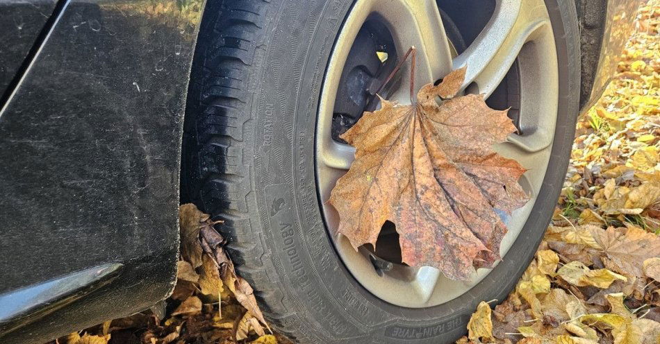zdjęcie: Niebezpieczna jesień na drogach. Jak zwiększyć bezpieczeństwo / fot. KMP Zielona Góra