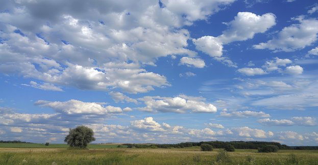 Tegoroczne lato w Polsce było normalne; zmiany klimatu zaczęły przyzwyczajać nas do wyższych temperatur