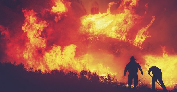 Przytulisko dla zwierząt apeluje o pomoc po nocnym pożarze