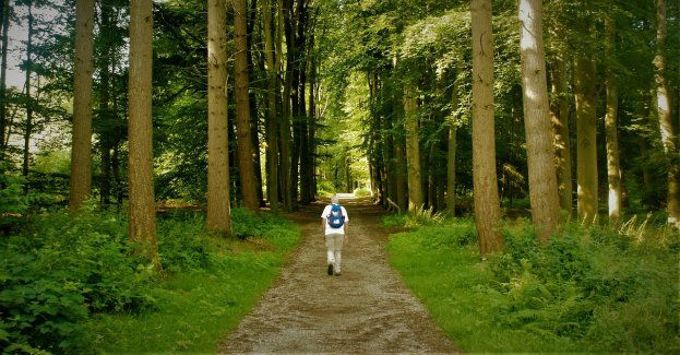 Niebezpieczny spacer do lasu