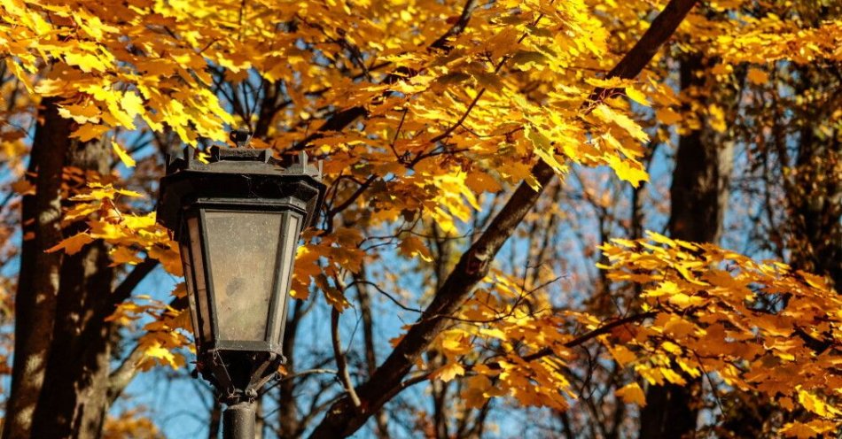 zdjęcie: Wzrost temperatury i silny wiatr w górach – pogoda na Wszystkich Świętych i Dzień Zaduszny / Warszawa, 20.10.2025. Jesień w parku Saskim w Warszawie, 20 bm. (aldg) PAP/Szymon Pulcyn