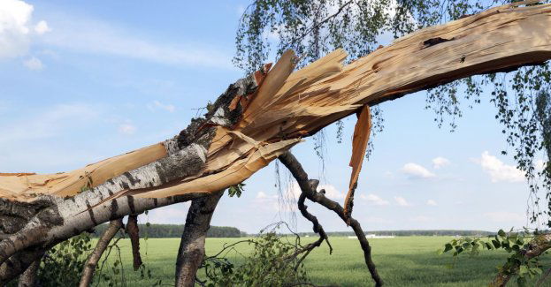 Prokuratura wszczęła śledztwo ws. wypadku, w którym ranny został 14-latek