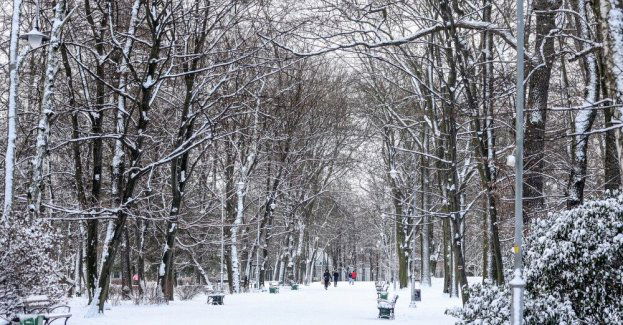 IMGW ostrzega przed zawiejami, zamieciami śnieżnymi oraz silnym mrozem