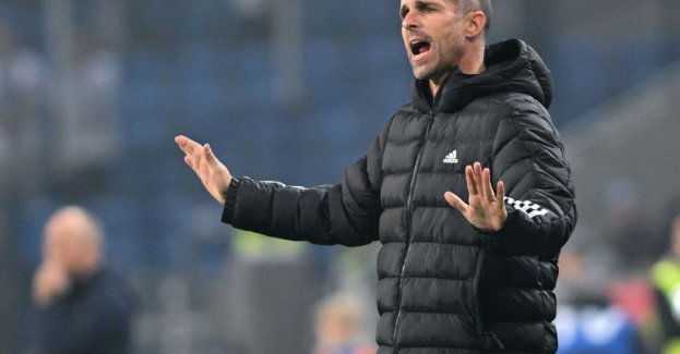 Ekstraklasa piłkarska - trener Baltazar odszedł z Radomiaka