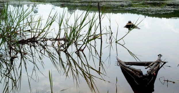 Bezpośrednią przyczyną śmierci Grzegorza Borysa było utonięcie (krótka)