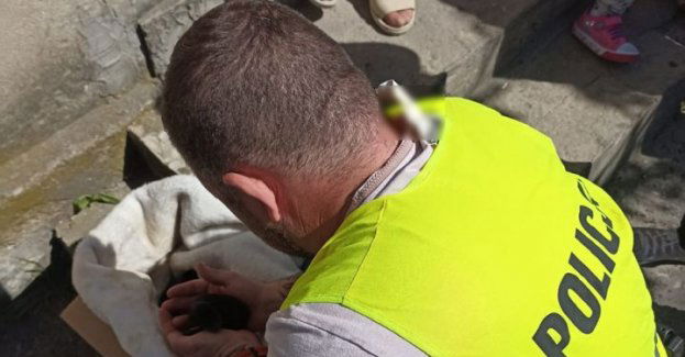 Wyrzuciła szczeniaki w reklamówce