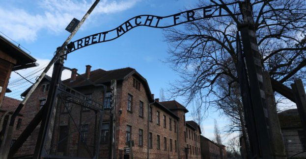 Mamy obowiązek przyjąć w Auschwitz-Birkenau każdego Żyda