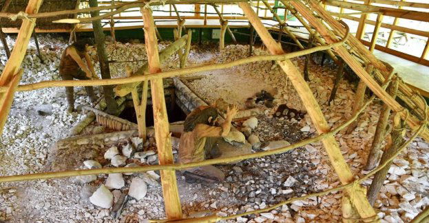 Krzemionki mogą stracić status UNESCO przez działalność kopalni odkrywkowej