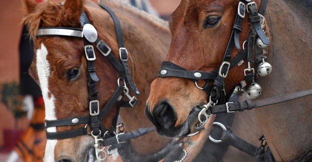 Konkurs historycznych zaprzęgów konnych odbędzie się 23 i 24 sierpnia w Koszęcinie
