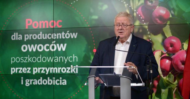 KE przydzieliła Polsce 37 mln euro na pomoc dla właścicieli sadów i winorośli