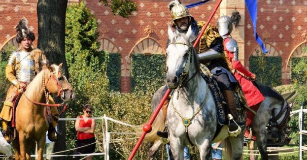 Walki rycerskie, pokazy konne i szczątki praczłowieka w jaskini