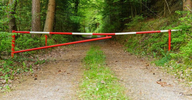 Przedłużony zakaz wstępu do lasów Nadleśnictwa Olkusz zagrożonych zapadliskami