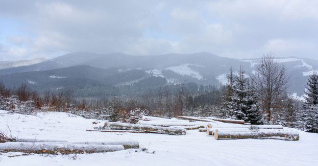 Warunki na szlakach są dobre; rześki poranek w górach