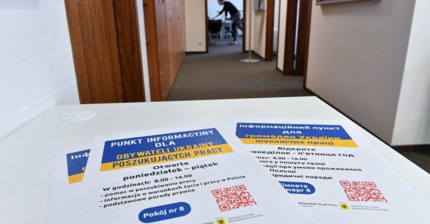 78 proc. imigrantów z Ukrainy pracuje lub poszukuje pracy w Polsce