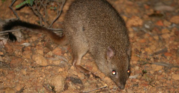 Poznańskie zoo ma nowych egzotycznych lokatorów