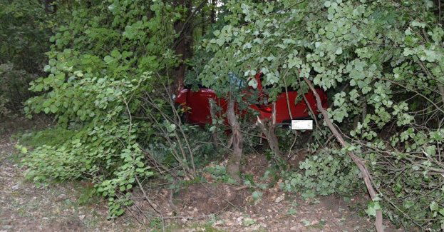 Kierująca kią wjechała w przydrożne drzewo. Wraz z nią podróżowała czwórka dzieci