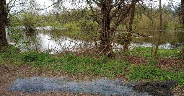 Wpadli na nielegalnym połowie ryb