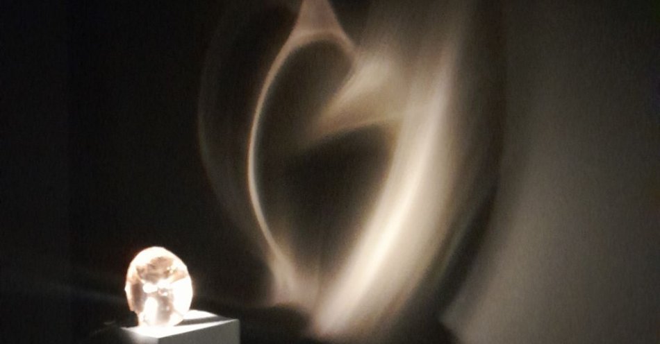 zdjęcie: Czułe oko / fot. nadesłane