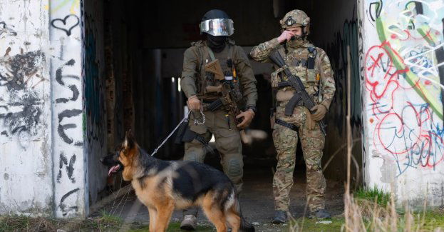 Służby rozbiły gang narkotykowy; wśród zatrzymanych żołnierze