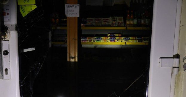 Pies Nadis doprowadził do sprawców włamania